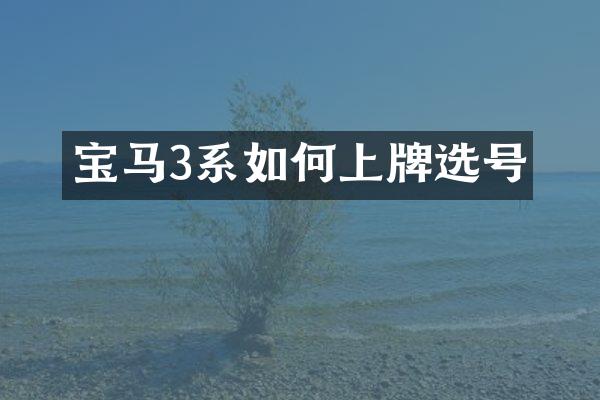 宝马3系如何上牌选号