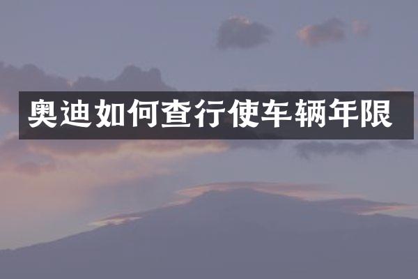 奥迪如何查行使车辆年限