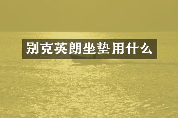 别克英朗坐垫用什么