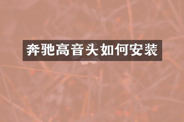 奔驰高音头如何安装