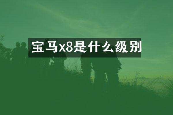 宝马x8是什么级别
