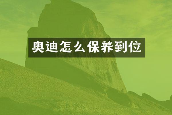 奥迪怎么保养到位