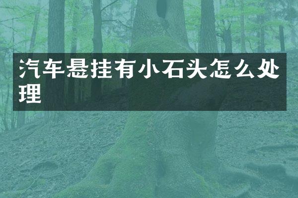 汽车悬挂有小石头怎么处理