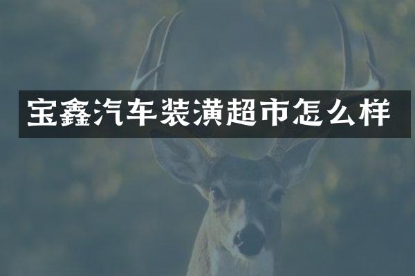 宝鑫汽车装潢超市怎么样