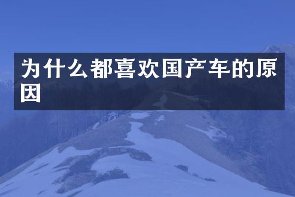 为什么都喜欢国产车的原因