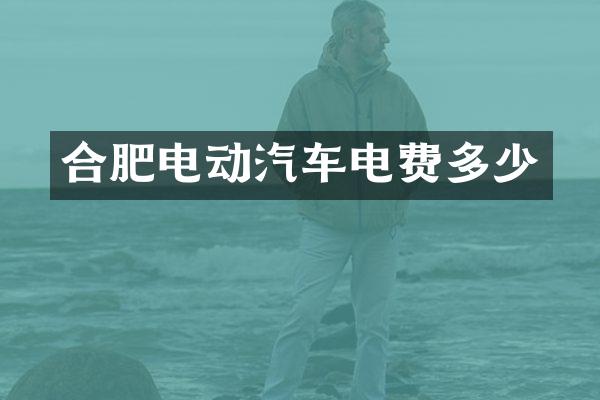 合肥电动汽车电费多少