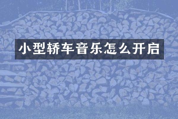 小型轿车音乐怎么开启