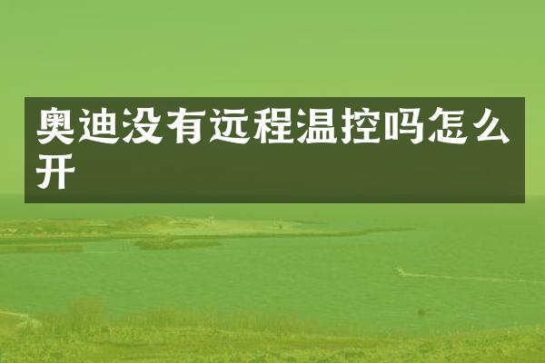 奥迪没有远程温控吗怎么开