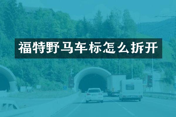 福特野马车标怎么拆开