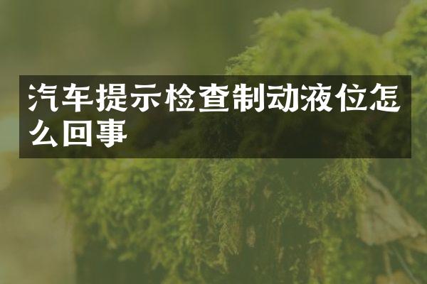 汽车提示检查制动液位怎么回事