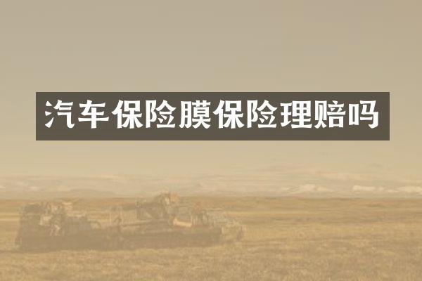 汽车保险膜保险理赔吗