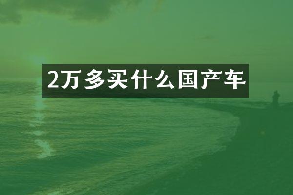 2万多国产车