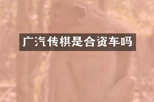 广汽传棋是合资车吗