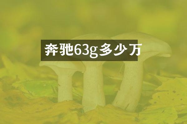 奔驰63g多少万