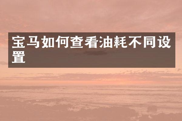 宝马如何查看油耗不同设置