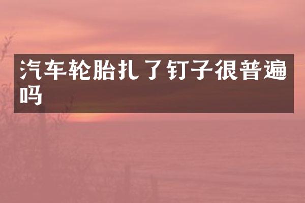 汽车轮胎扎了钉子很普遍吗