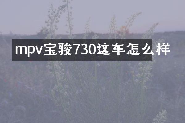 mpv宝骏730这车怎么样