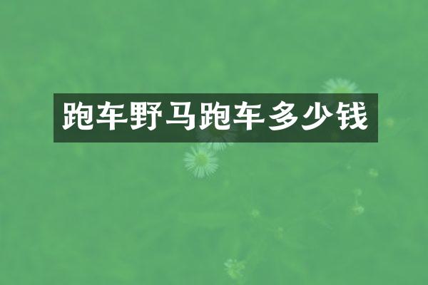 跑车野马跑车多少钱