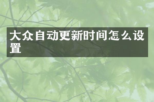 大众自动更新时间怎么设置
