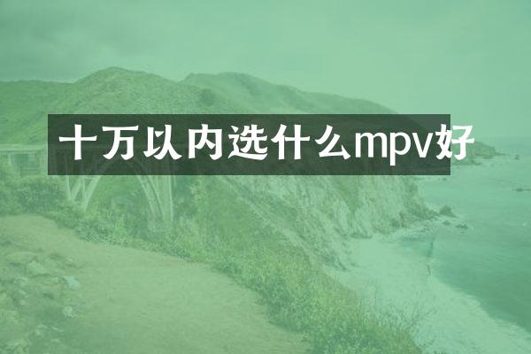 十万以内选什么mpv好