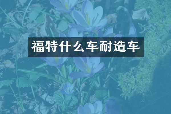 福特什么车耐造车