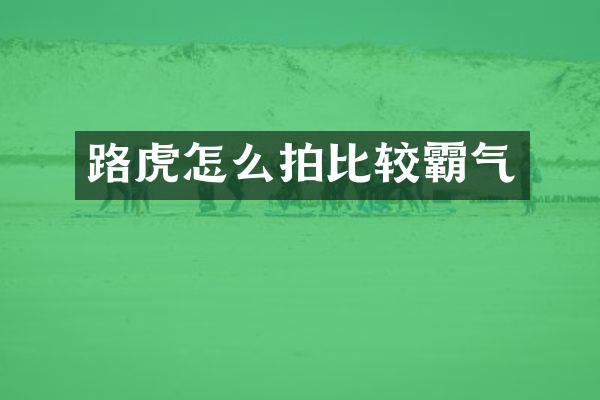 路虎怎么拍比较霸气