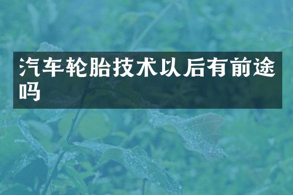汽车轮胎技术以后有前途吗