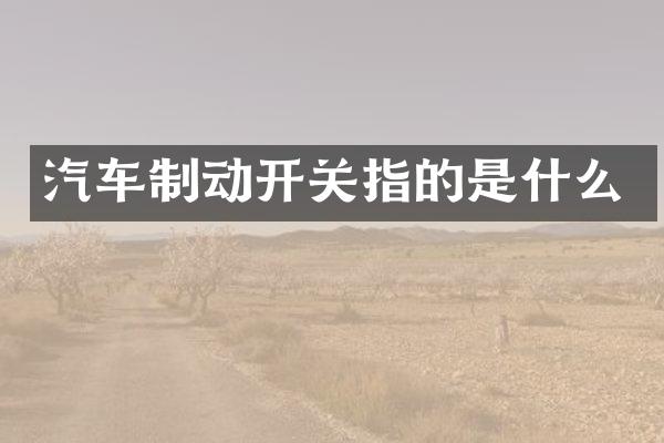 汽车制动开关指的是什么