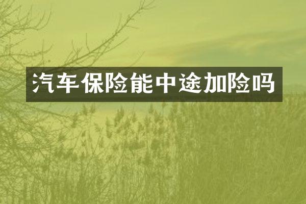 汽车保险能中途加险吗