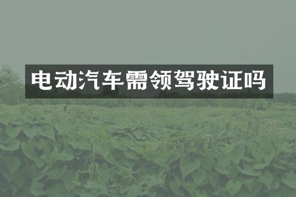 电动汽车需领驾驶证吗