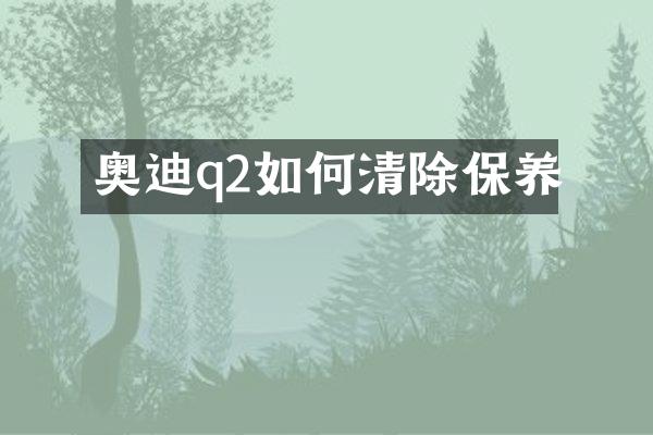 奥迪q2如何清除保养
