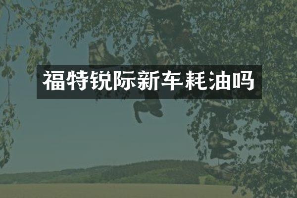 福特锐际新车耗油吗