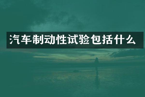 汽车制动性试验包括什么