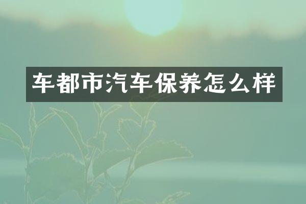 车都市汽车保养怎么样