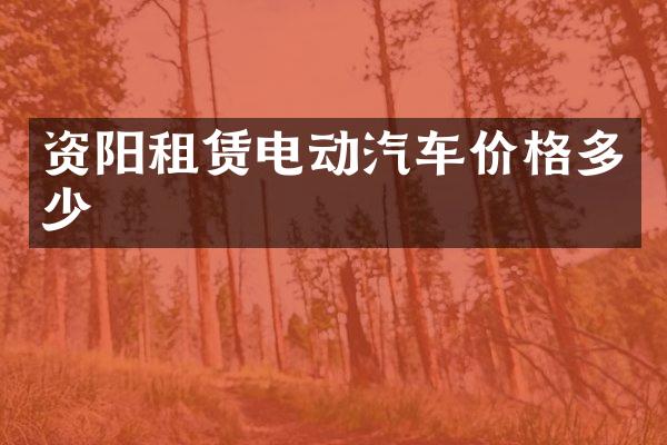资阳租赁电动汽车价格多少
