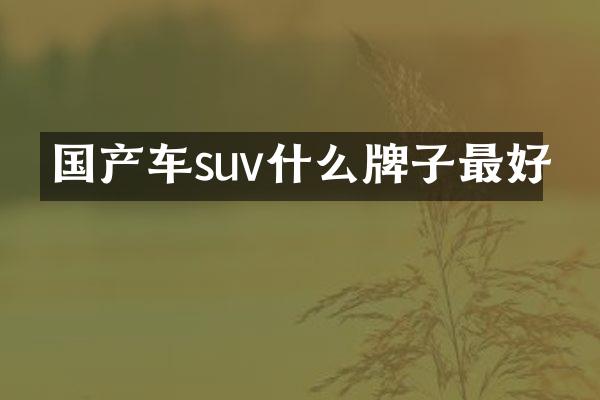 国产车suv什么牌子最好