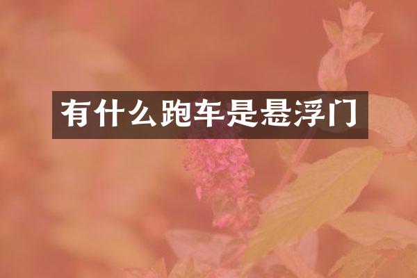有什么跑车是悬浮门