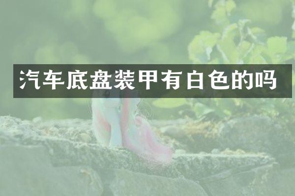 汽车底盘装甲有白色的吗