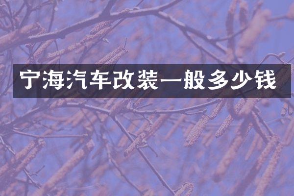 宁海汽车改装一般多少钱