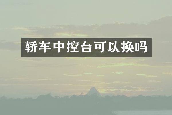 轿车中控台可以换吗