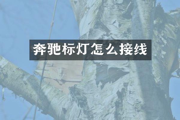 奔驰标灯怎么接线