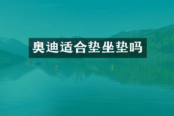 奥迪适合垫坐垫吗
