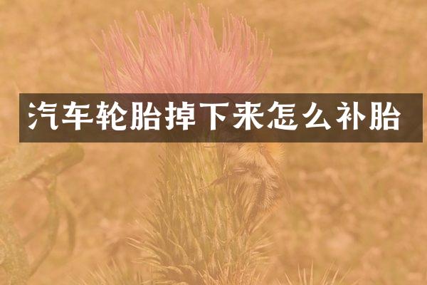 汽车轮胎掉下来怎么补胎