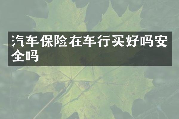 汽车保险在车行买好吗安全吗