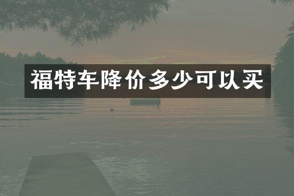福特车降价多少可以买