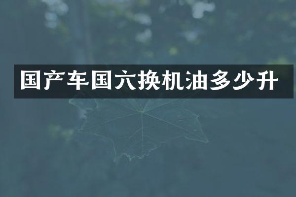 国产车国六换机油多少升