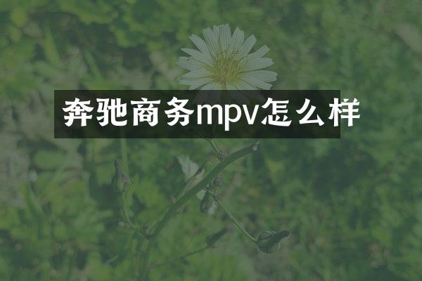 奔驰商务mpv怎么样