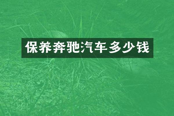保养奔驰汽车多少钱