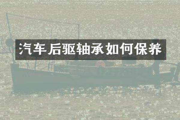 汽车后驱轴承如何保养