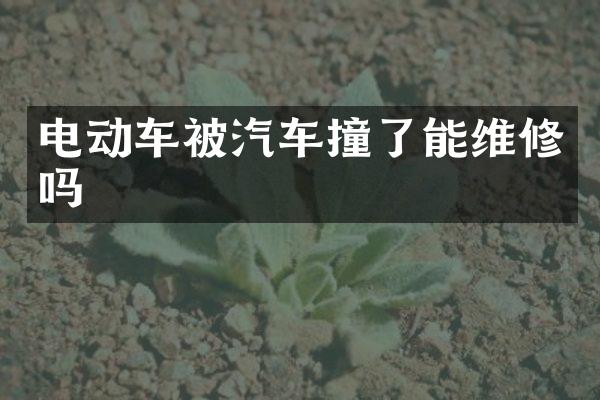 电动车被汽车撞了能维修吗
